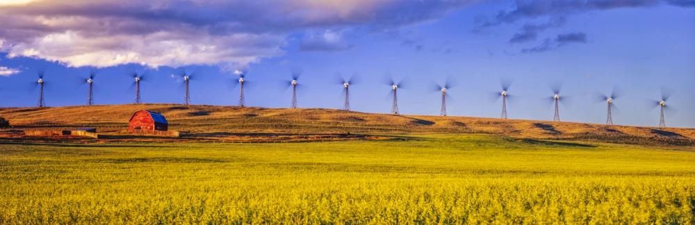 Wind Farm