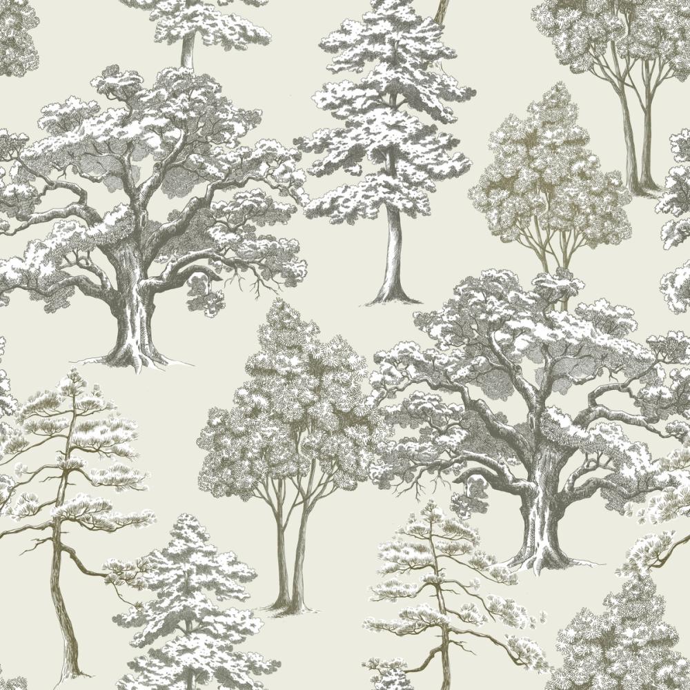 Park Trees, Off White