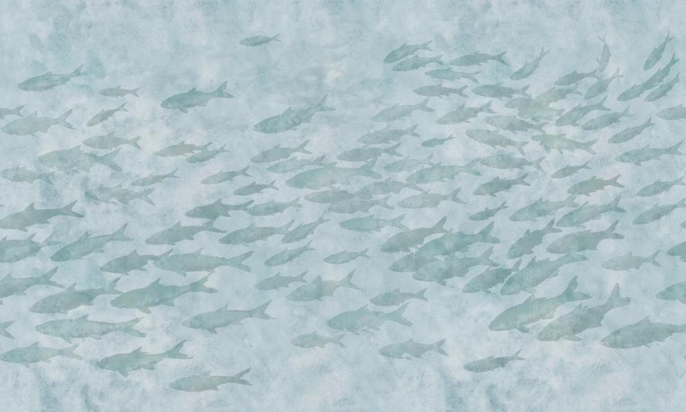 Sumi Current, Seafoam