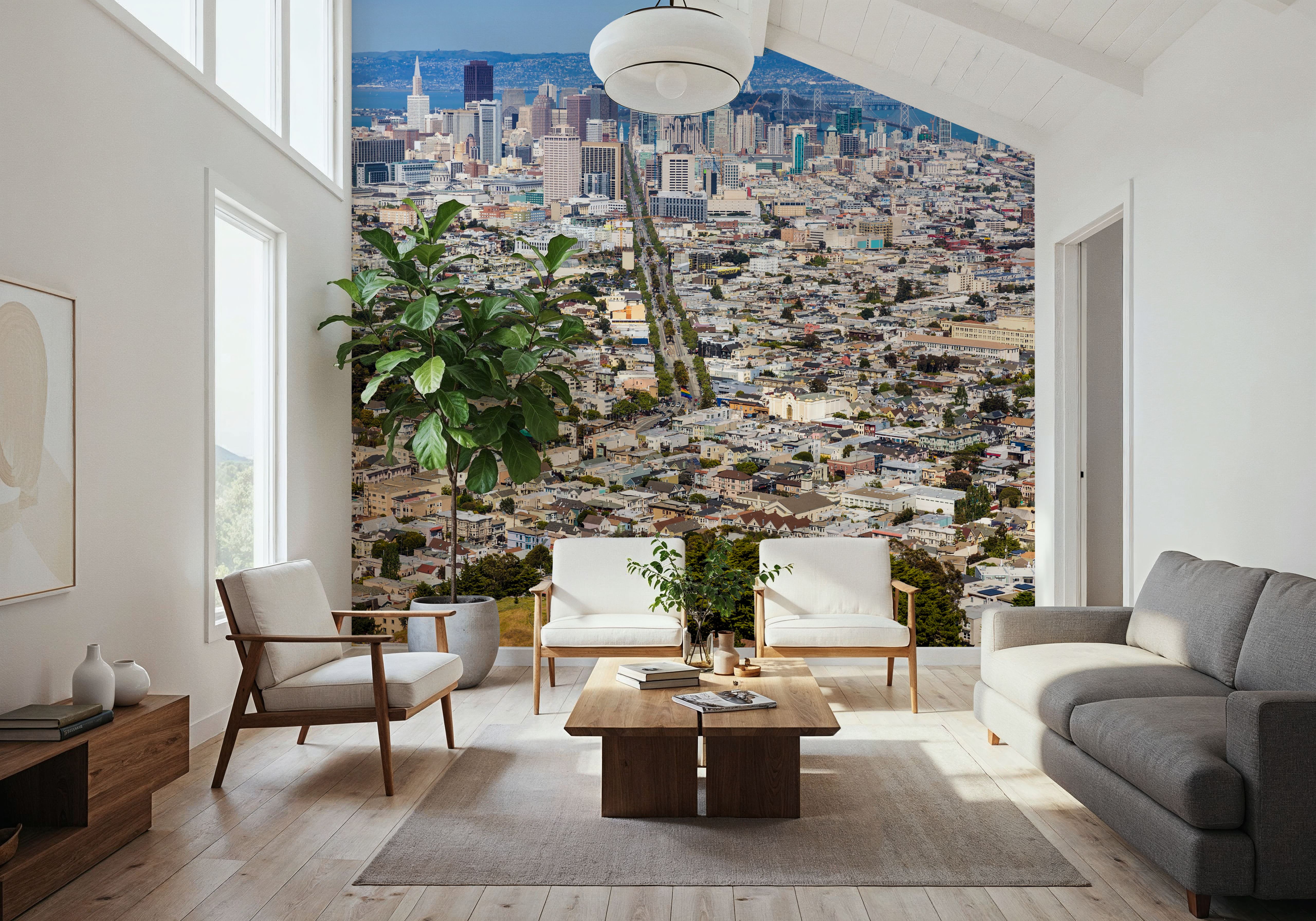 San Francisco Cityscape