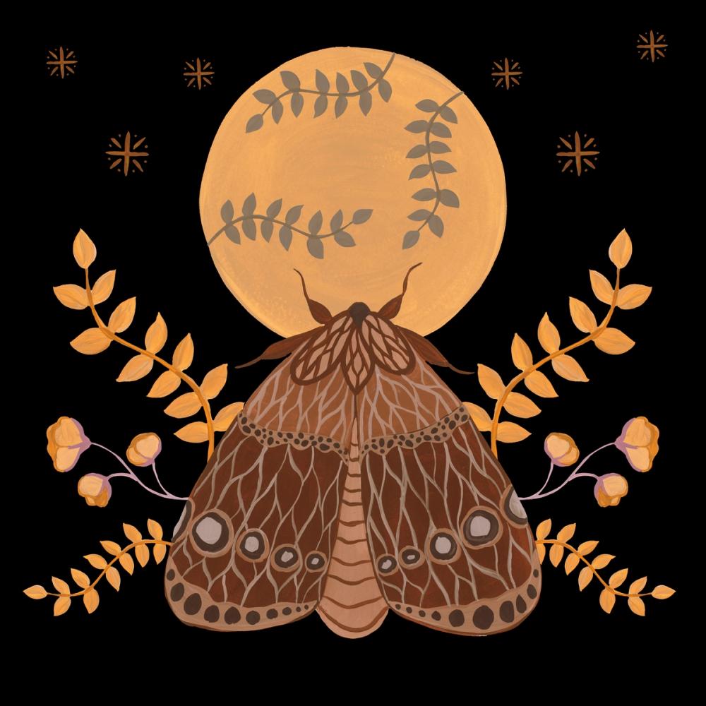 Moon Moth VI