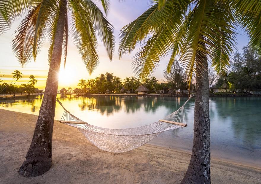 Hammock Rest