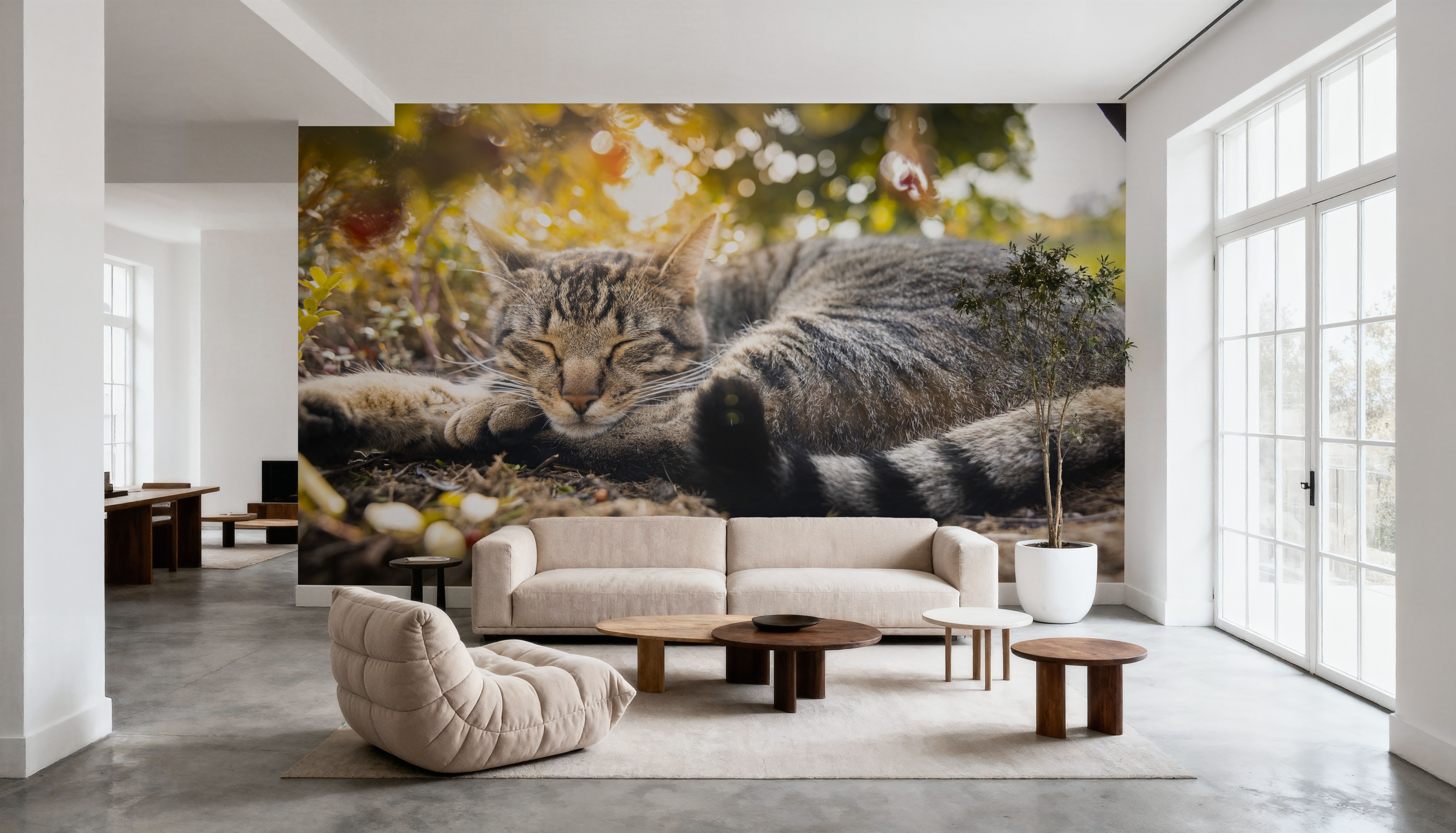 Cat Chill, Wallpaper