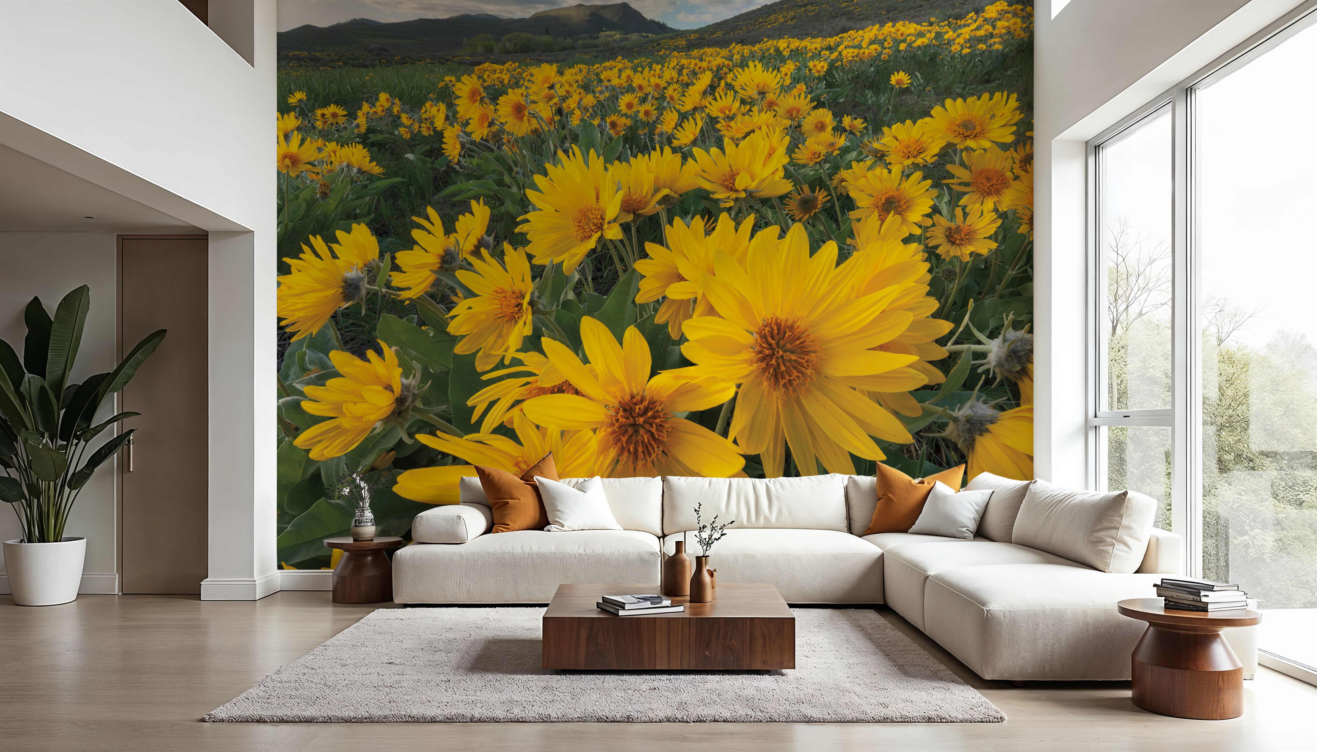Methow Valley Wildflowers II