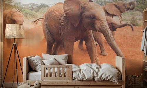 Elephant Race