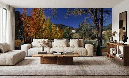 Autumn Vineyard Lane