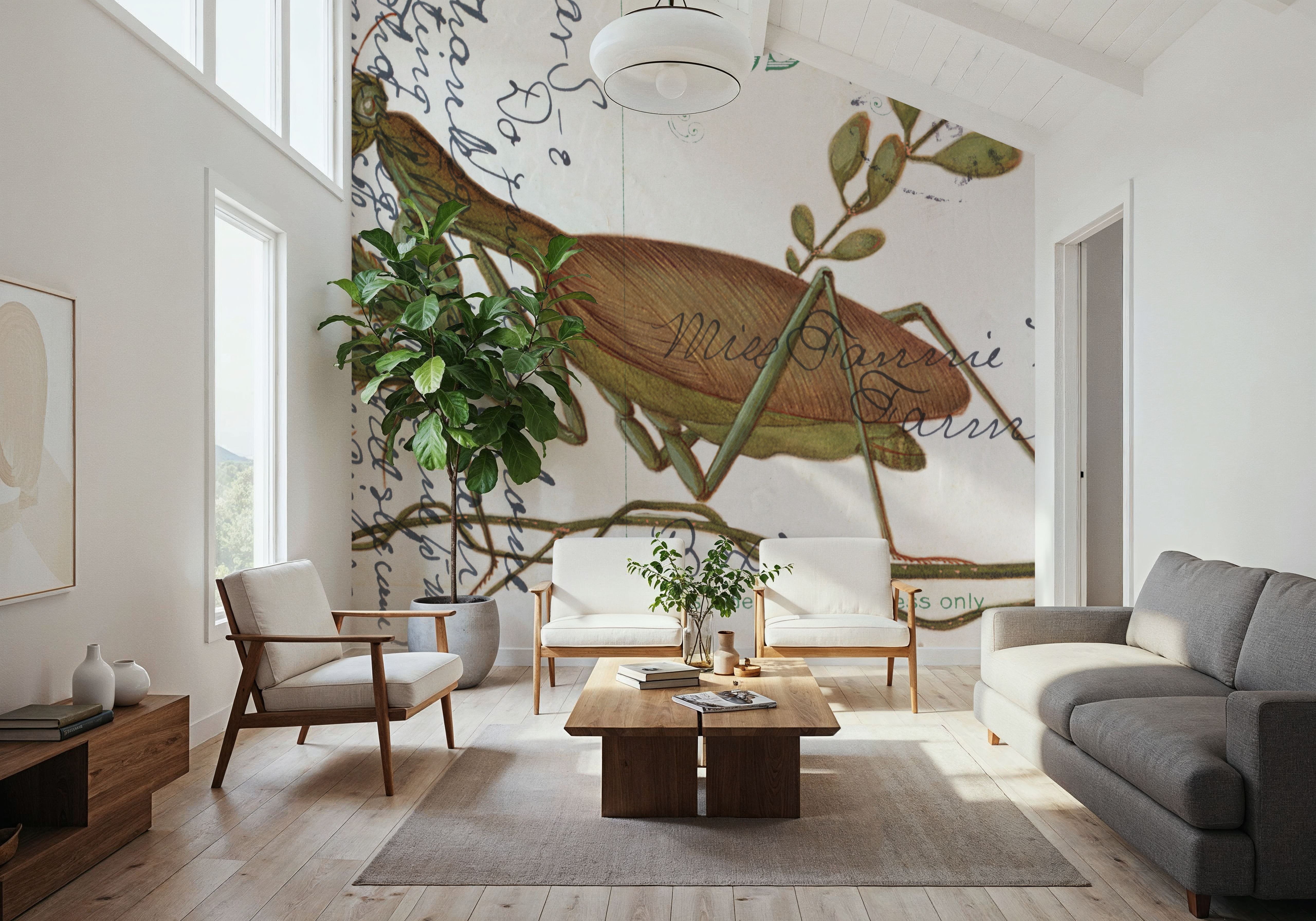 Praying Mantis Postcard