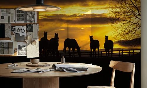 Horses at Sunset