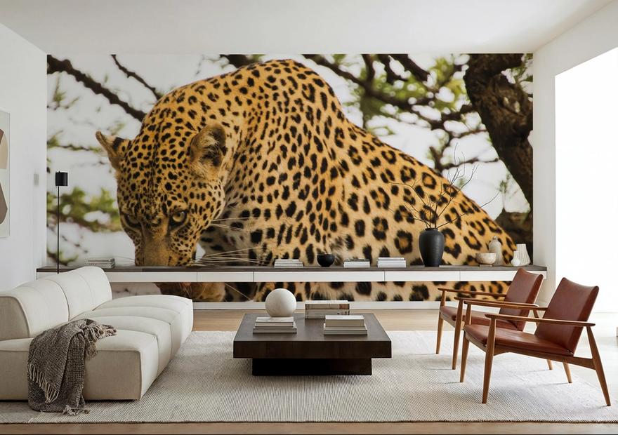 Leopard After Lunch