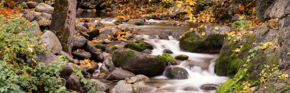 Autumn Creek Serenity