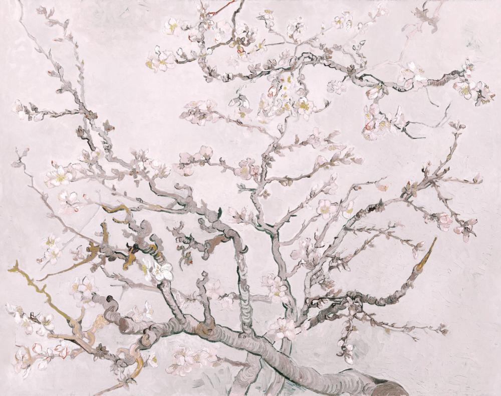 Almond Blossom, Petal Pink