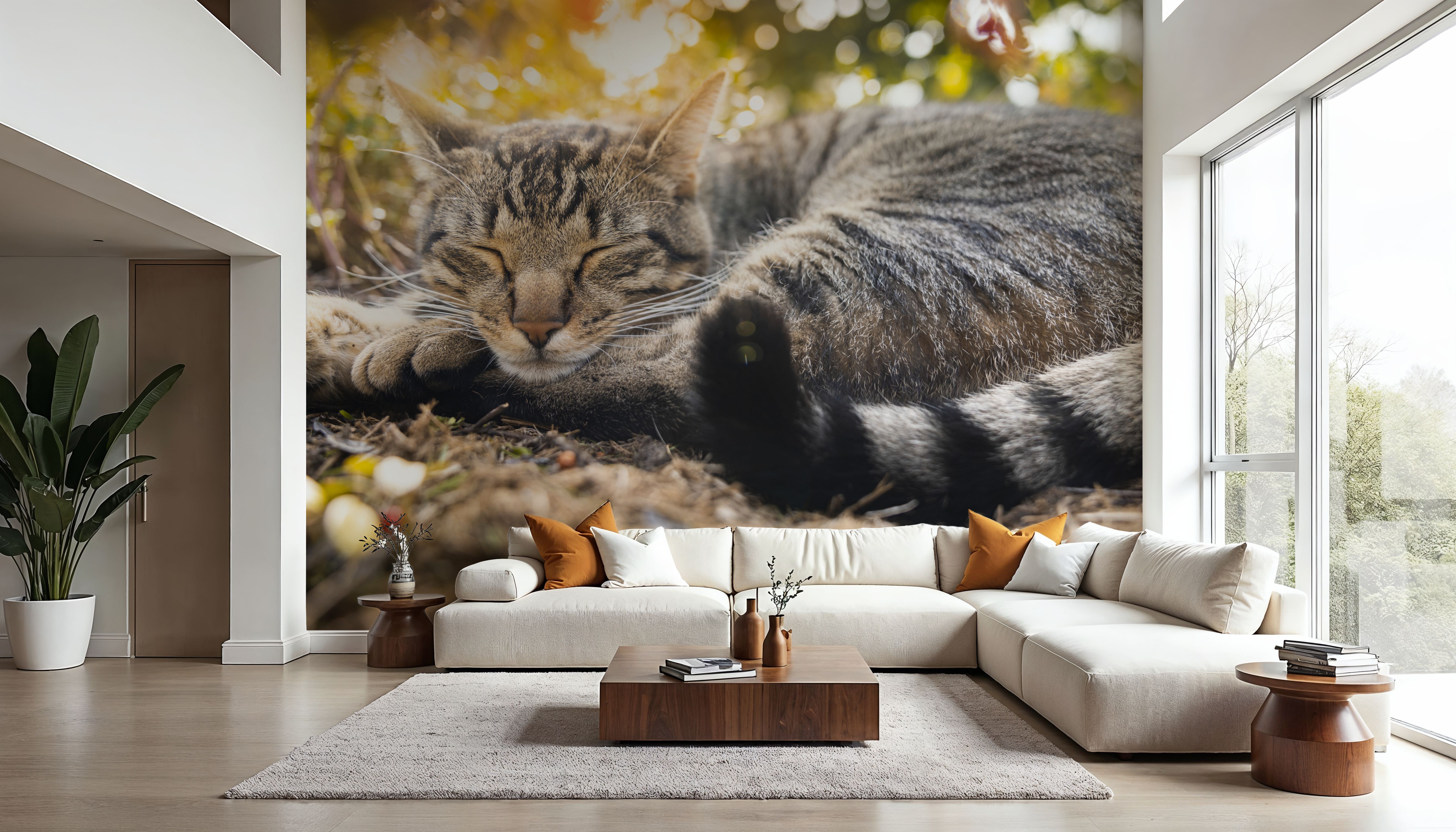 Cat Chill