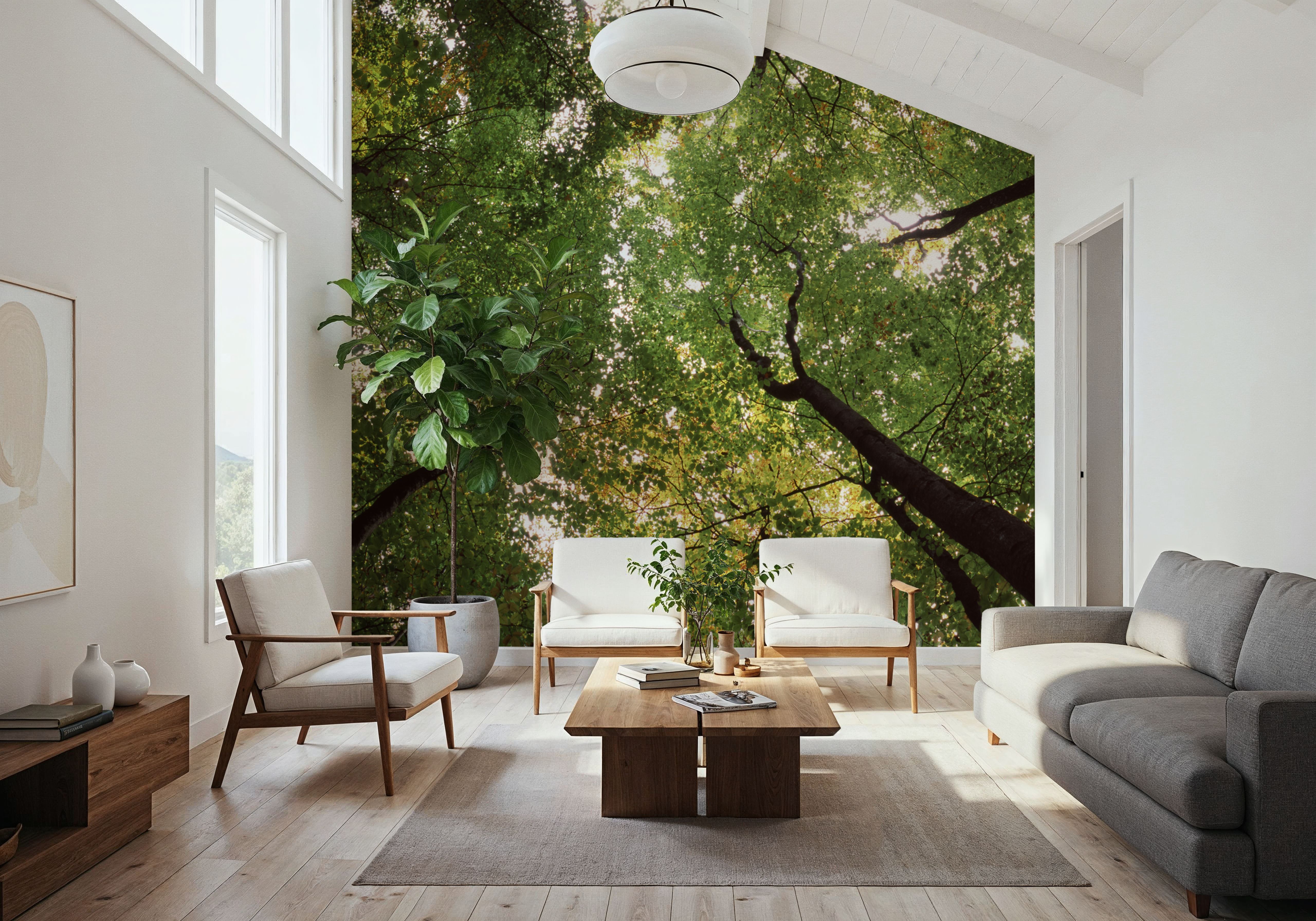 Emerald Canopy