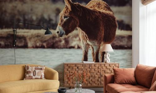 Donkey Summer I