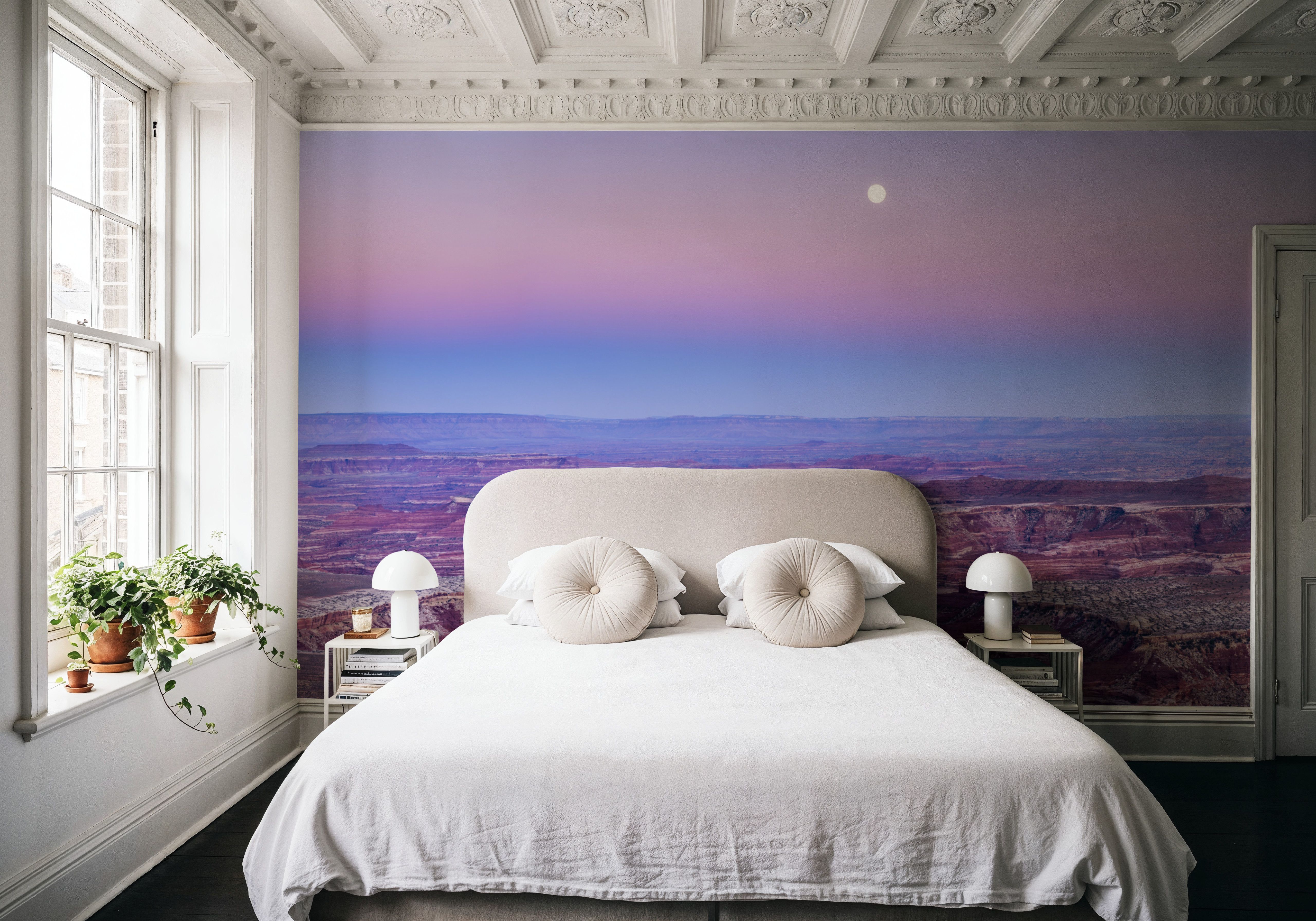 Moonlit Canyon Serenity