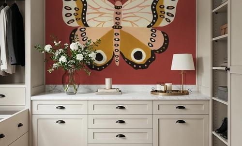 Cinnamon Butterfly