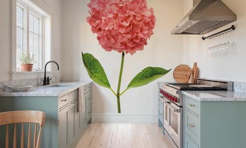 Providence Hydrangea I
