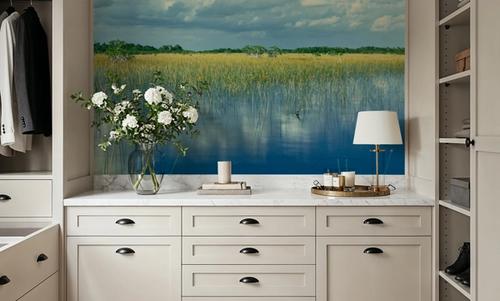Everglades Mangrove