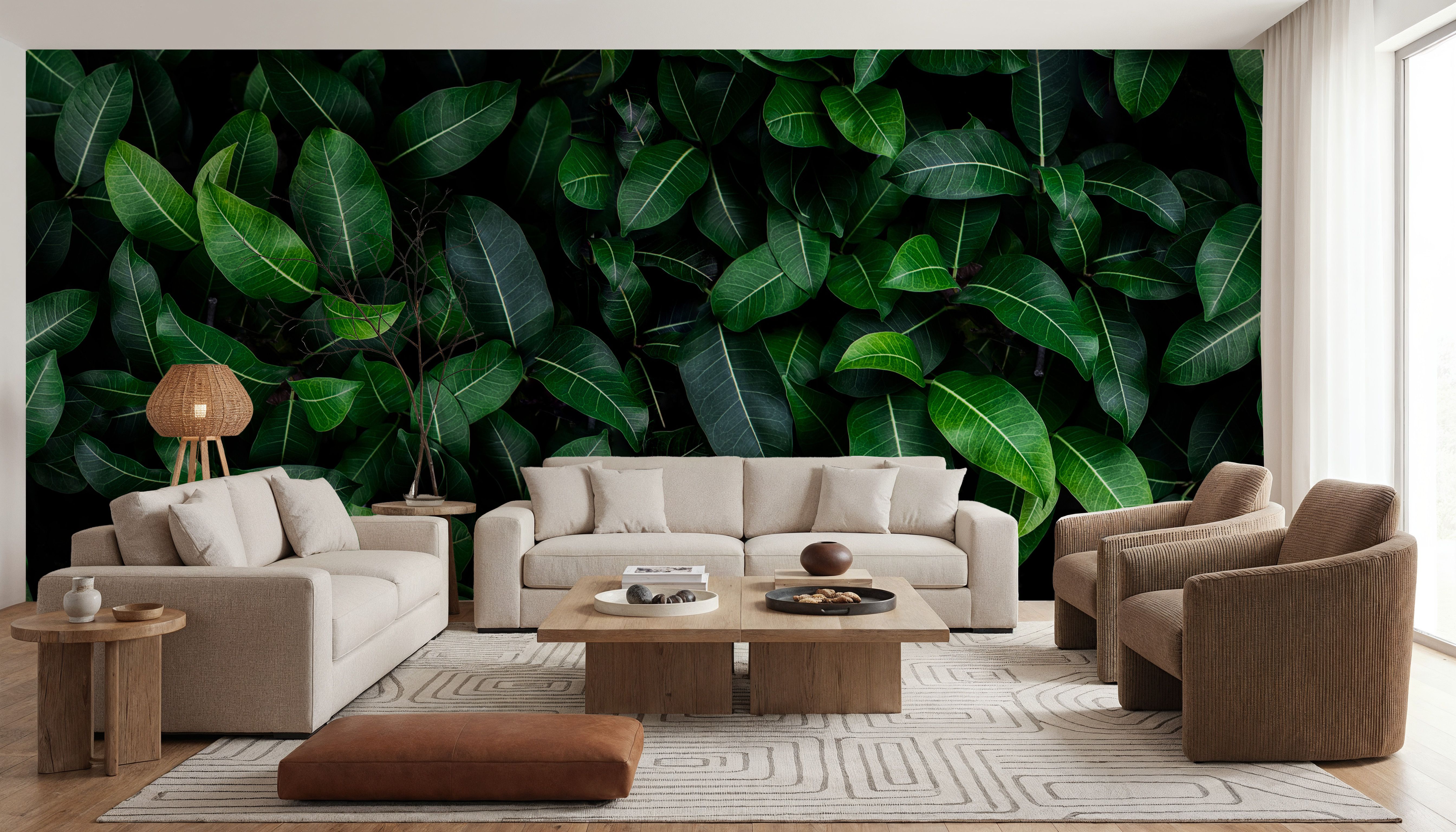 Chlorophyll 