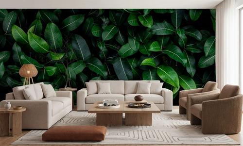 Chlorophyll