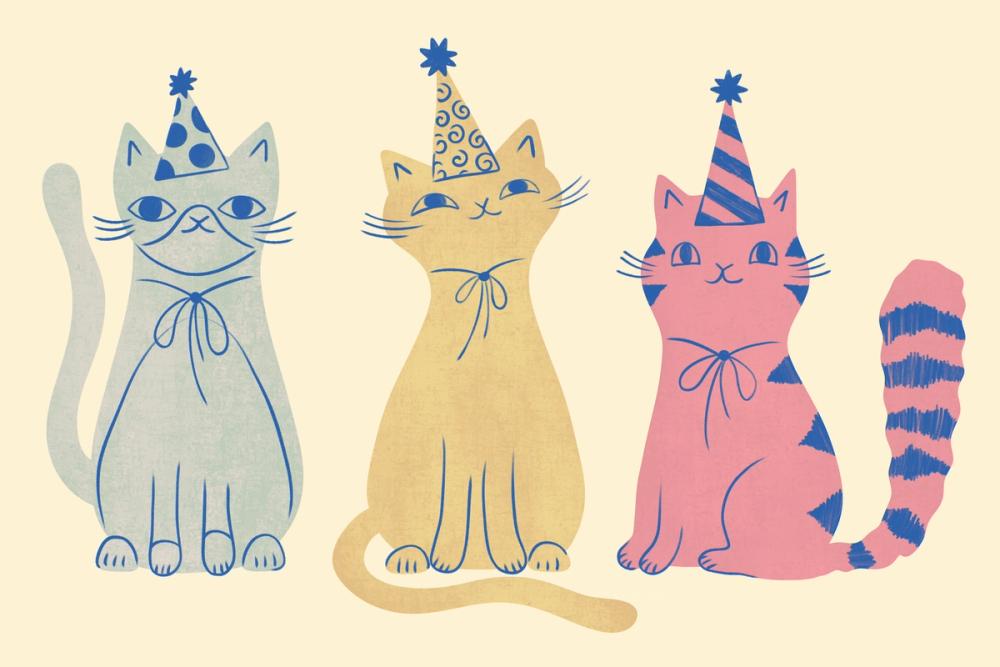 Pary Hat Cats