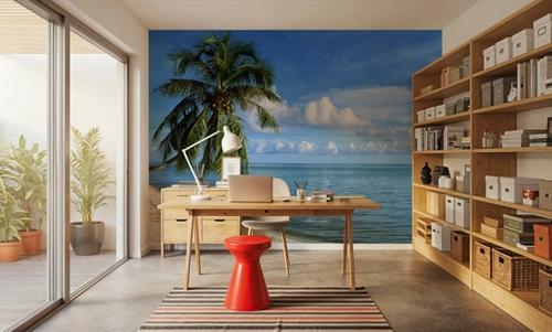 Coconut Shore