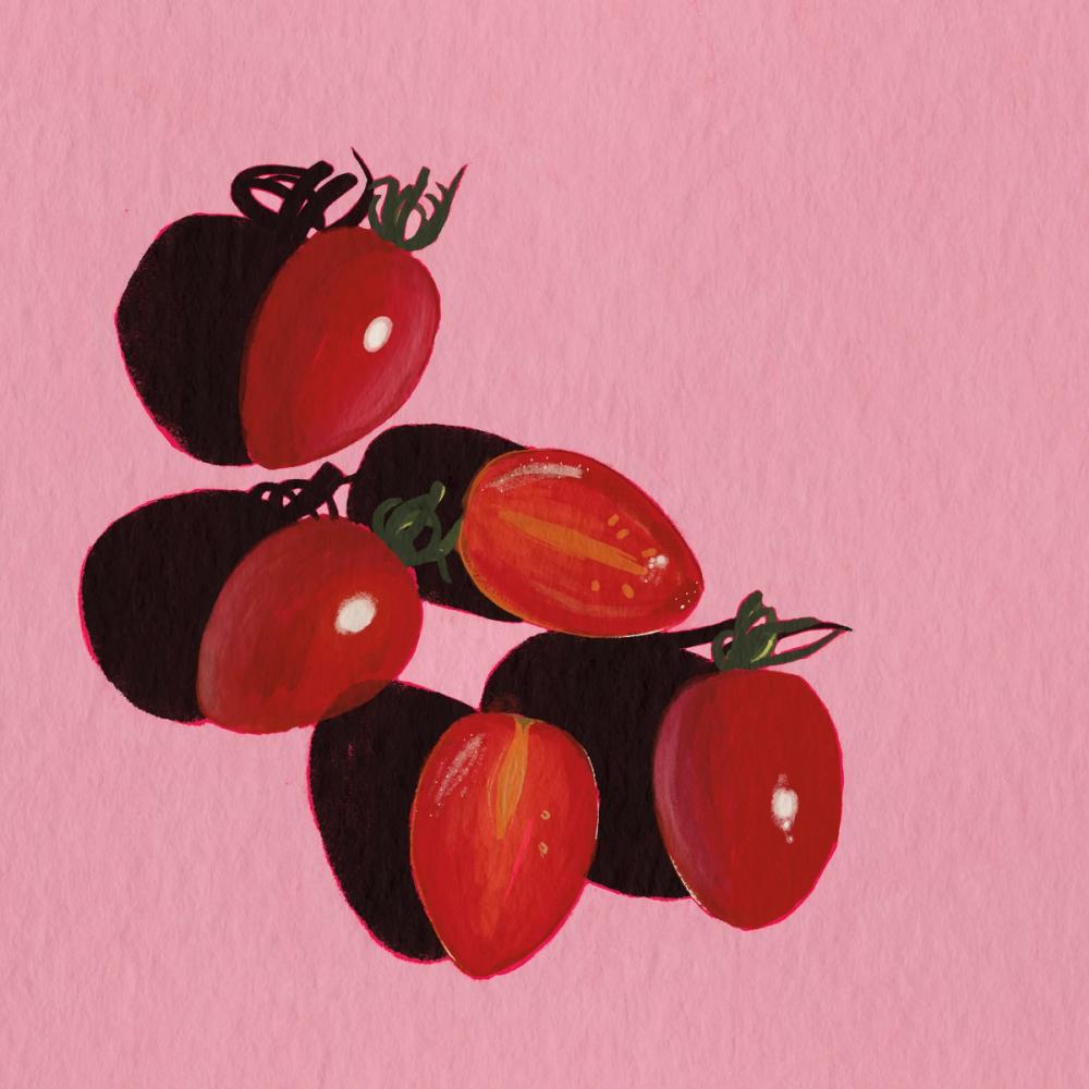 Sliced Tomatoes Study