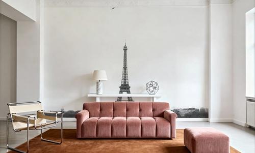 A Birds View of Paris