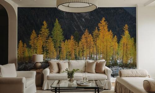 Alpine Larches