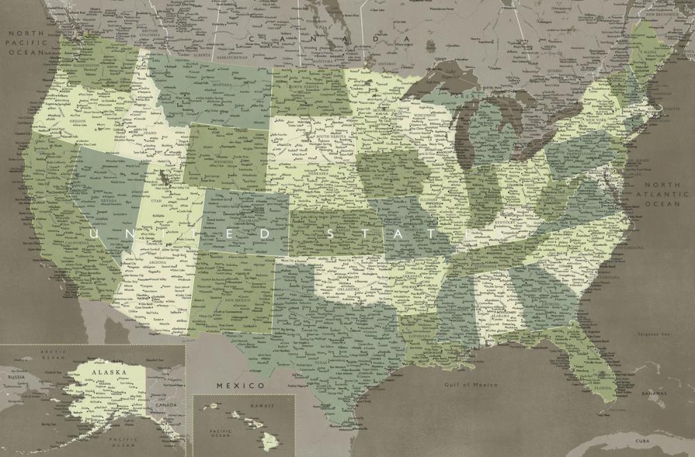 US Map Detailed - Camo