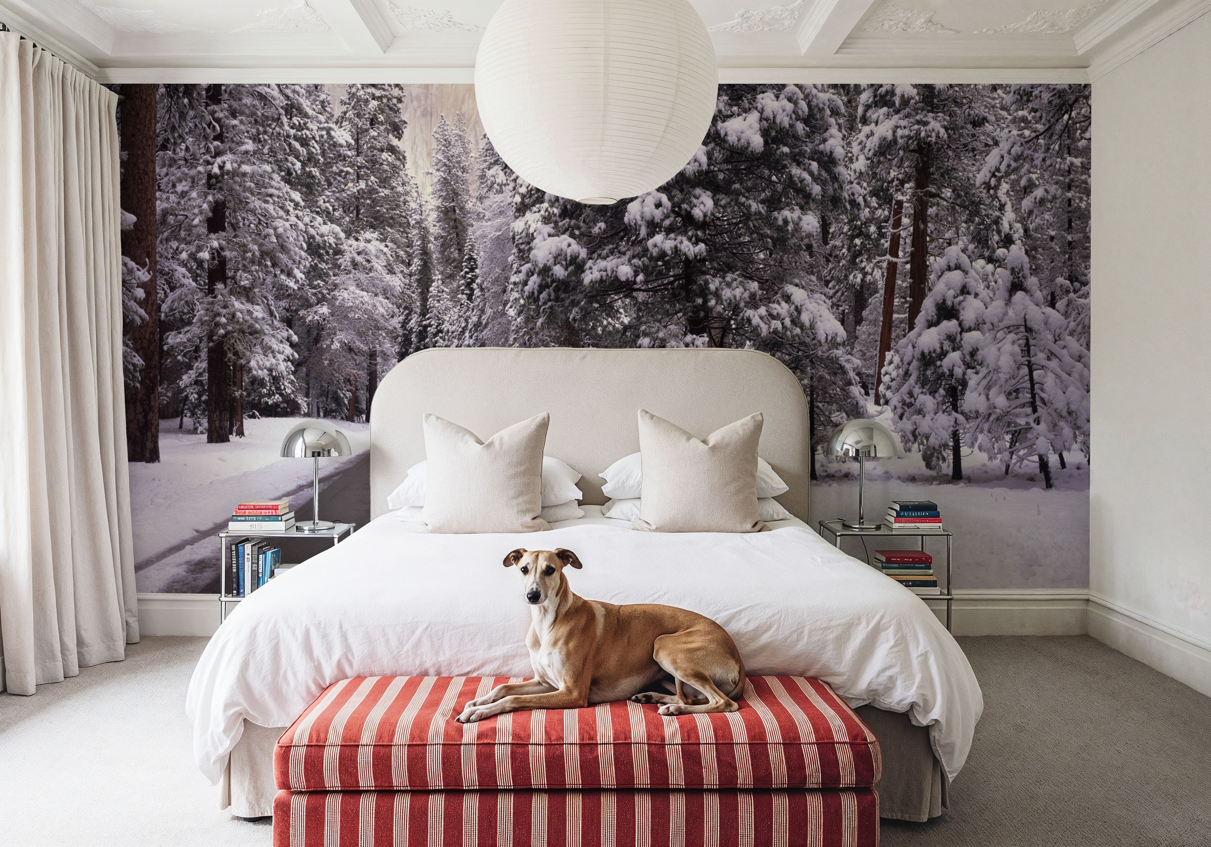 Winter's Path, Wallpaper