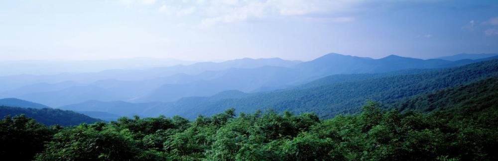 Blue Ridge Views