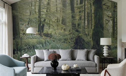 Moss Everywhere