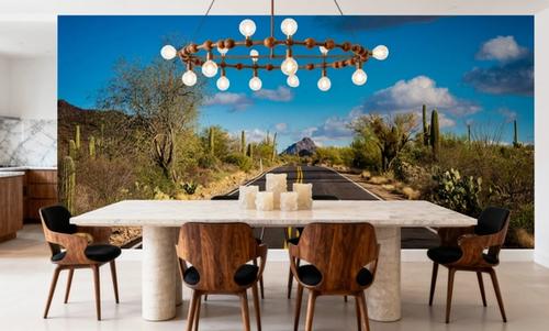 Desert Highway