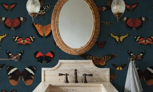Butterfly Collection Teal