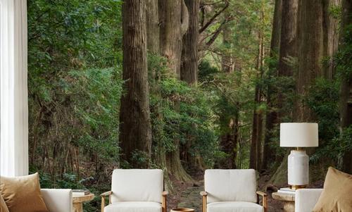 Kumano Kodō Pilgrimage Route