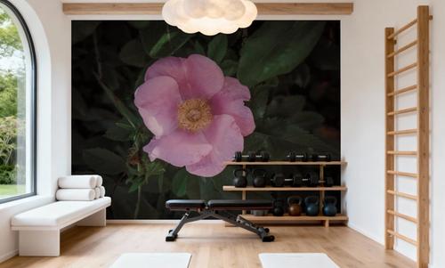 Wild Rose VII