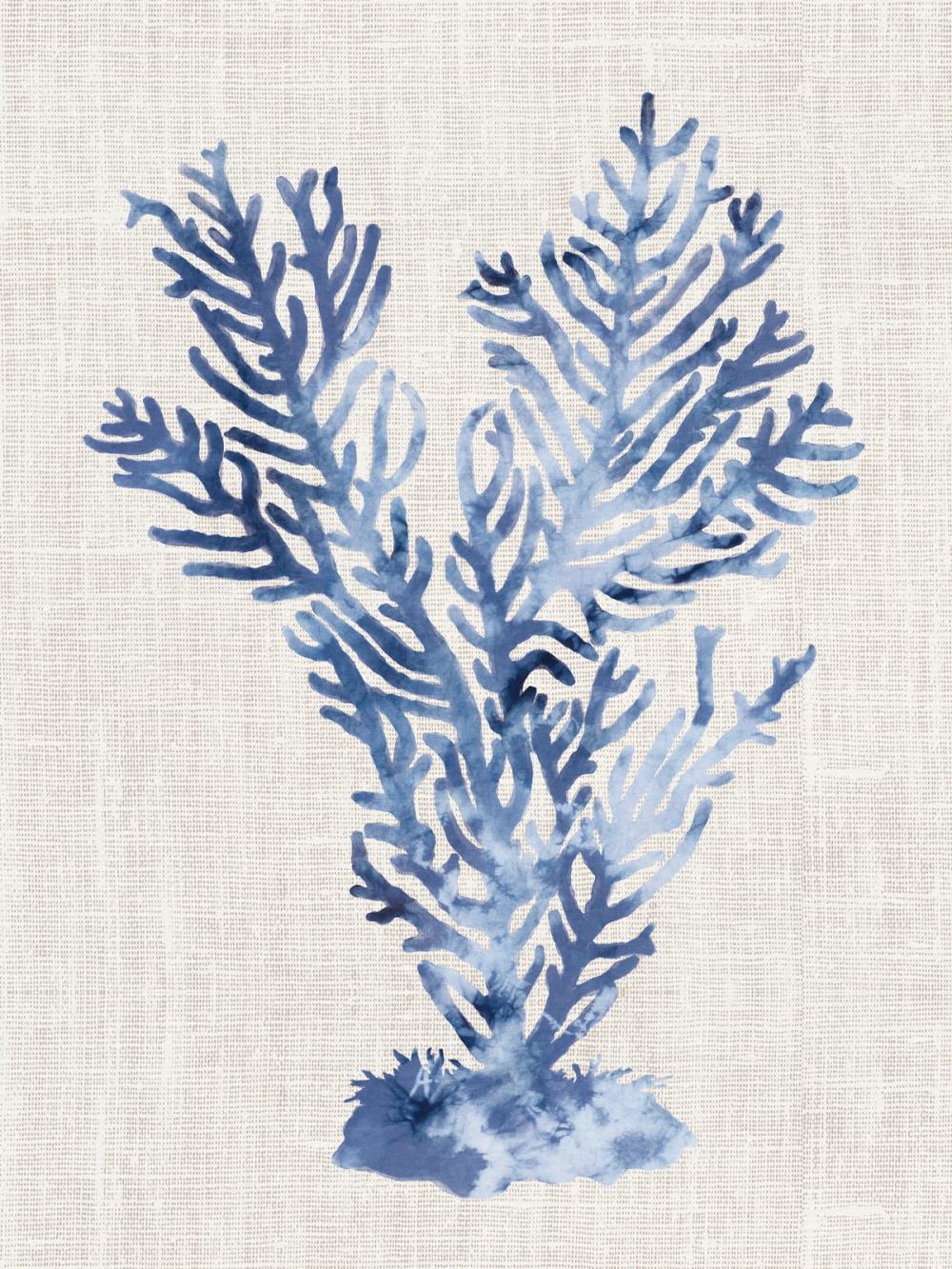 Shibori Coral I on Linen