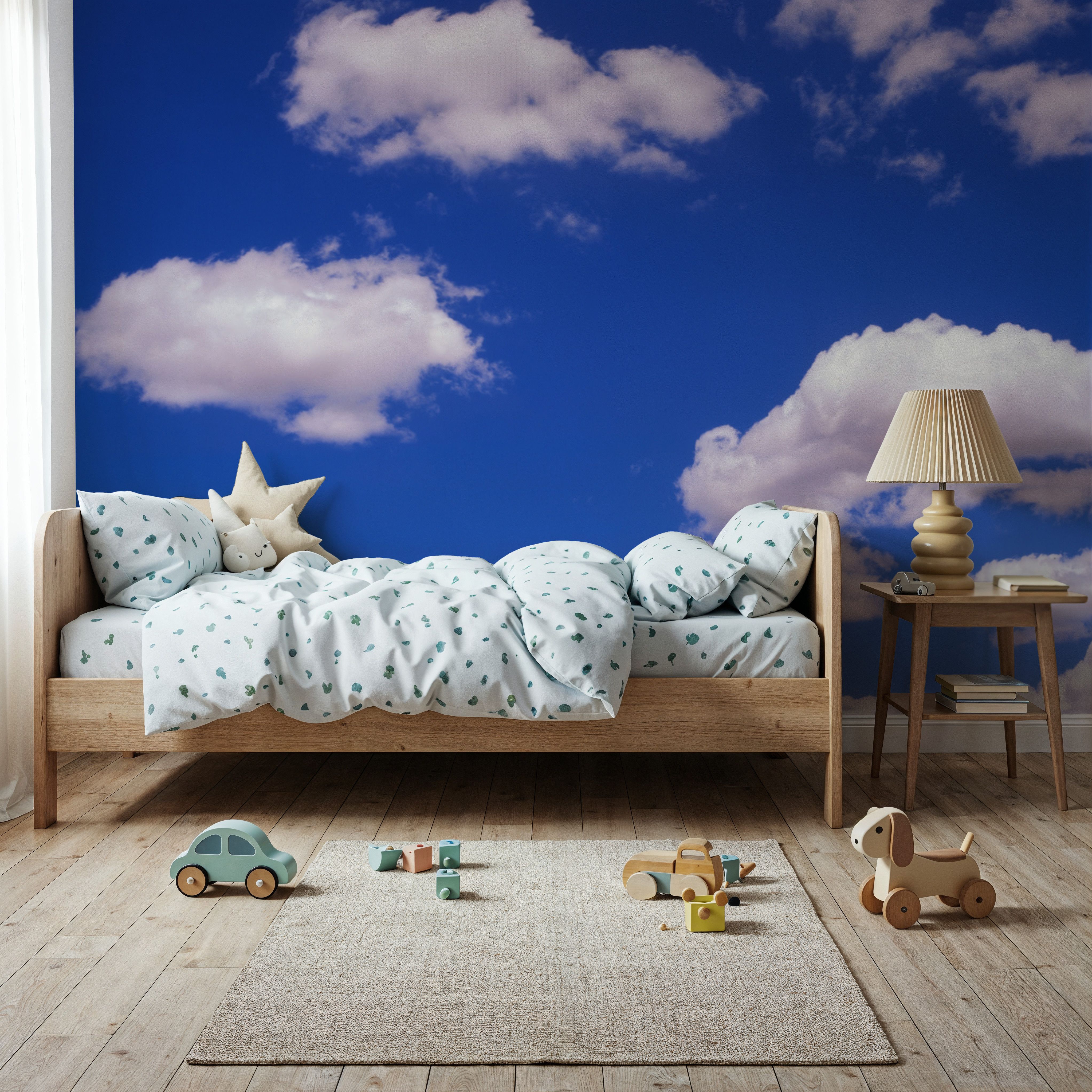 Partly Cloudy Sky 