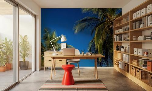 Azure Palms Horizontal
