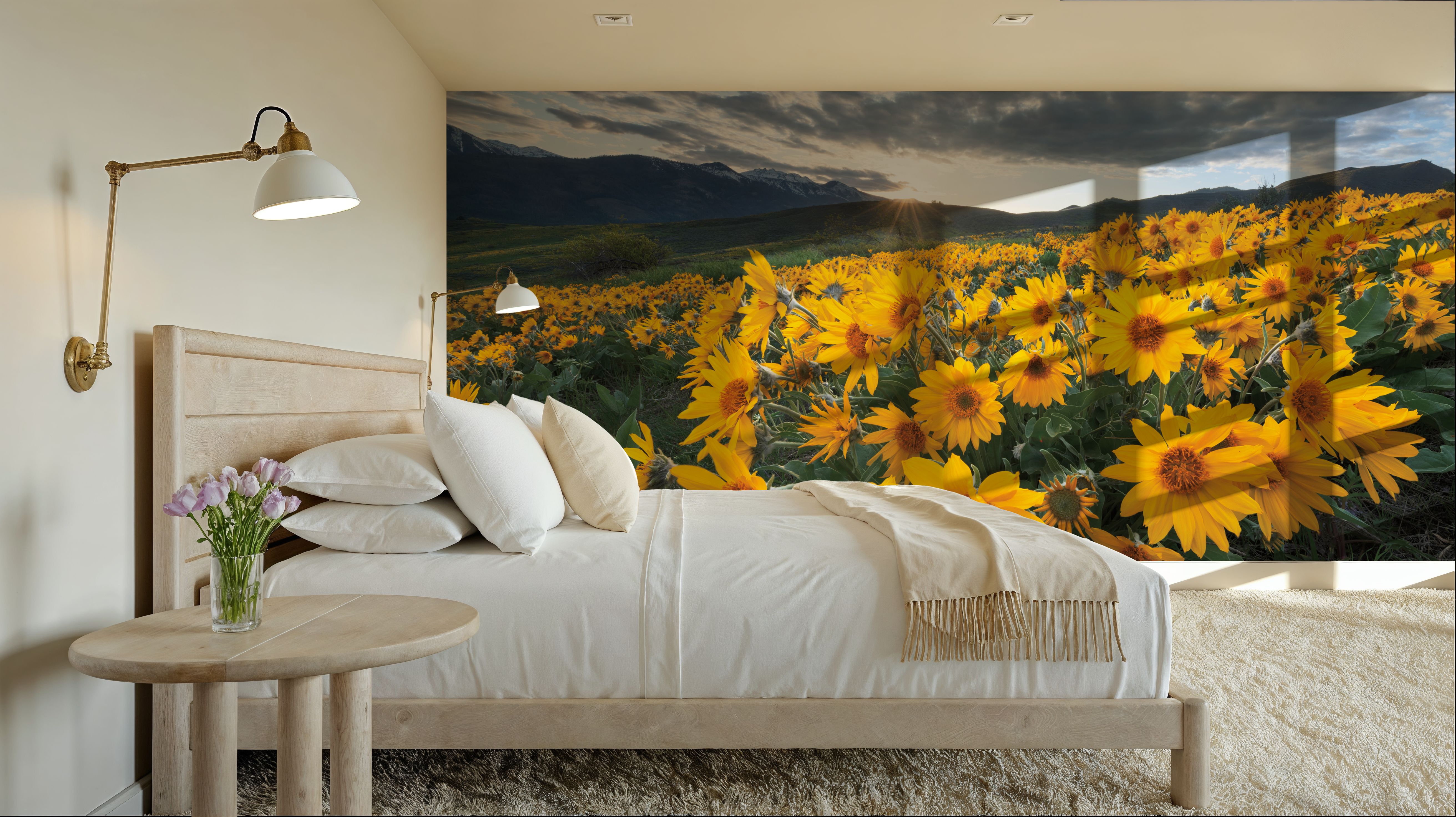 Methow Valley Wildflowers I