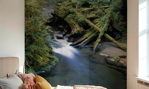 Willaby Creek, Washington State