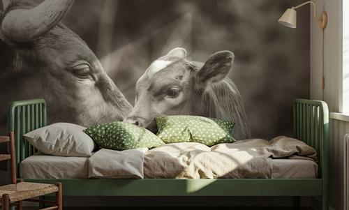 Longhorn Pairing Sepia
