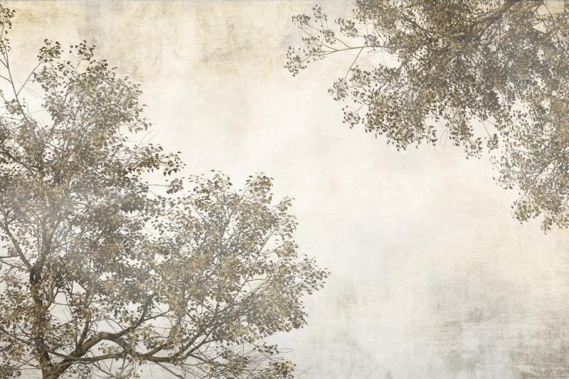 Tree Crowns wallpaper mural 100% PVC-free and non-toxic