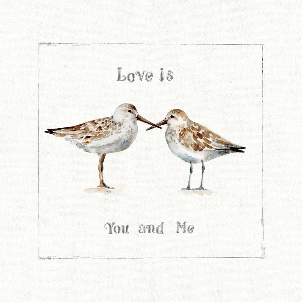 Pebbles and Sandpipers II