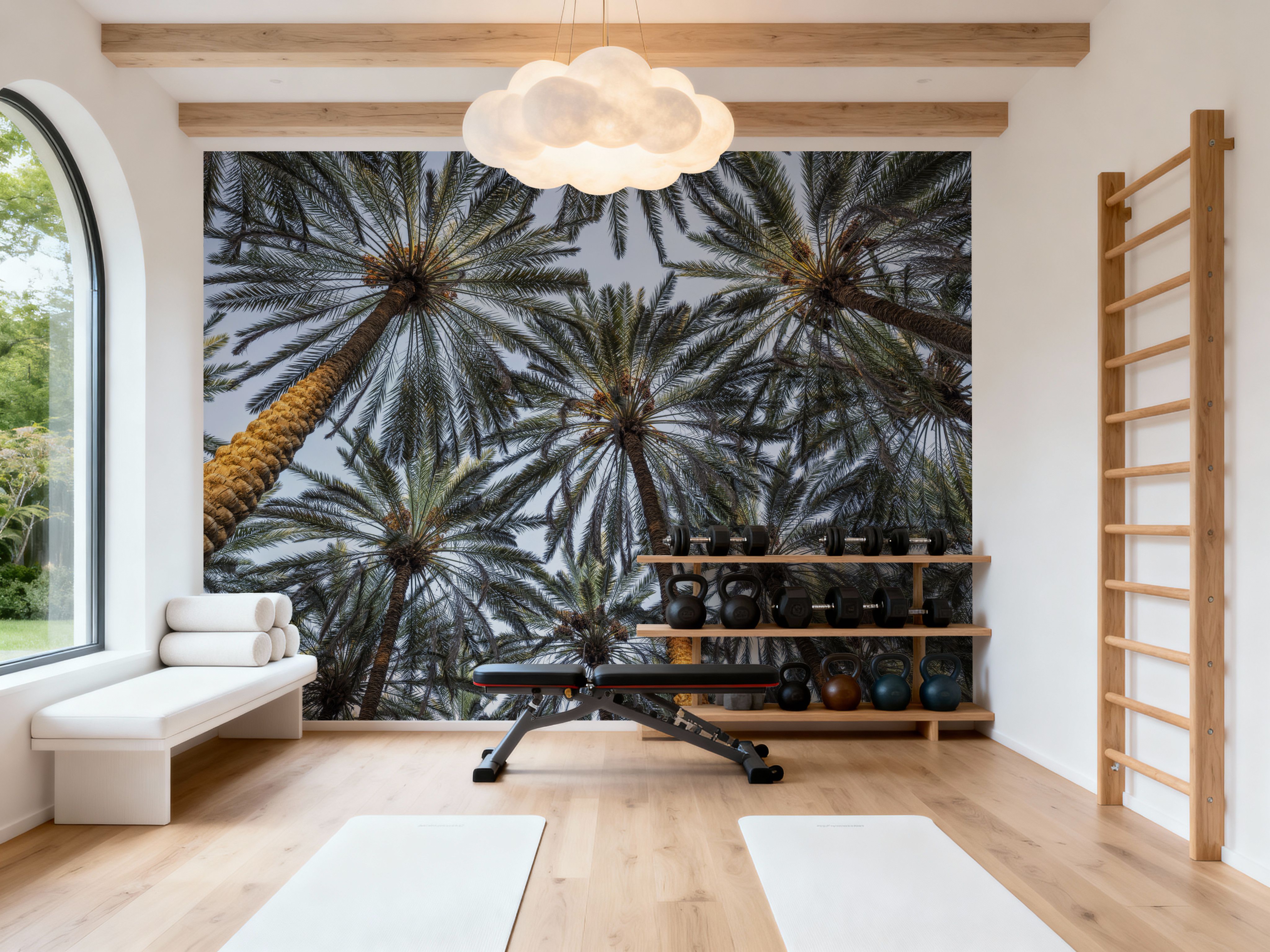 Tropical Canopy