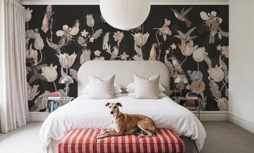 Tulips & Birds, Black