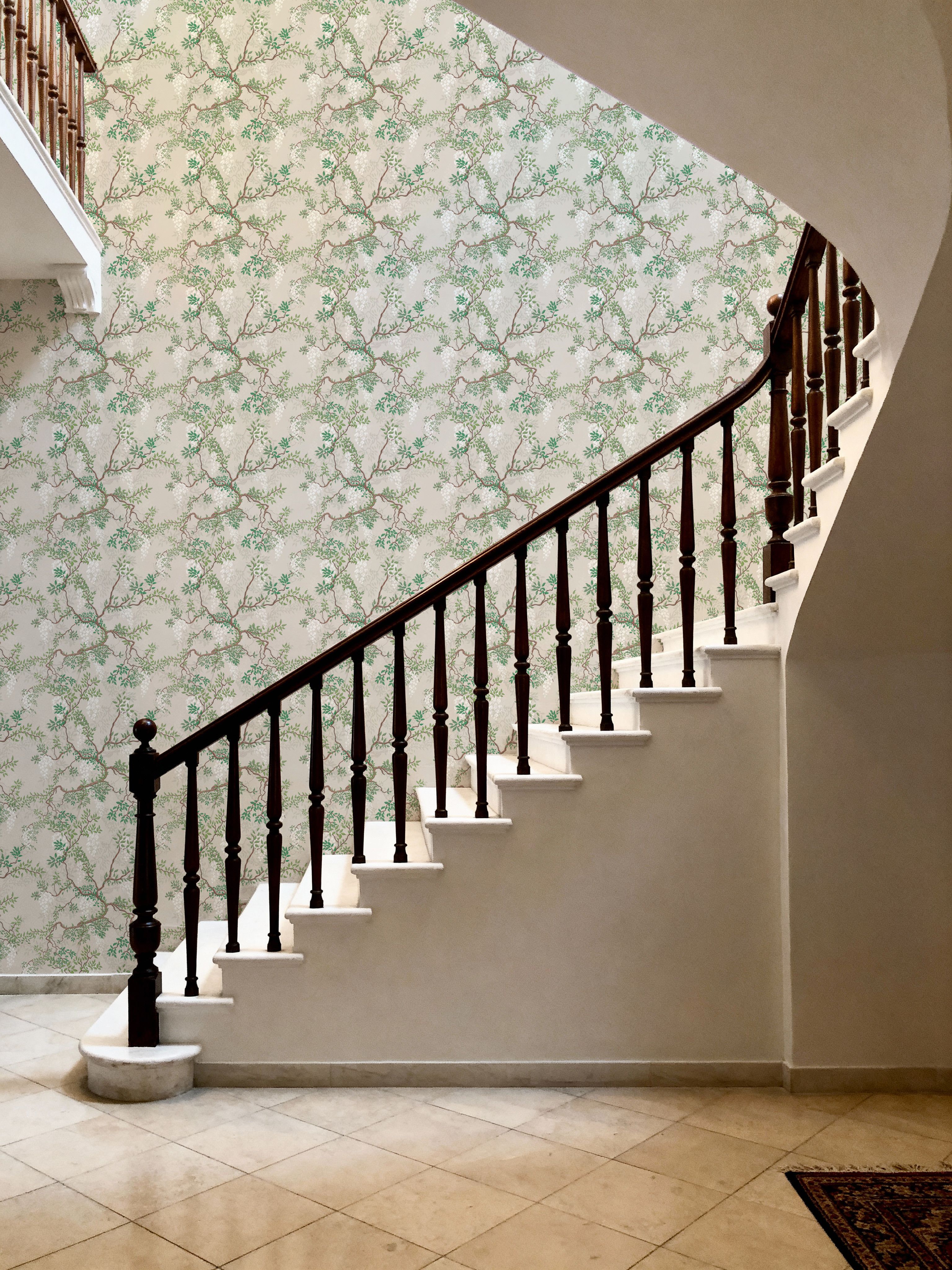 Climbing Wisteria, Greige