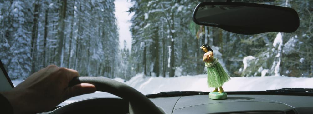 Winter Drive Companion