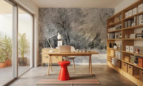 Frost-Laden Forest